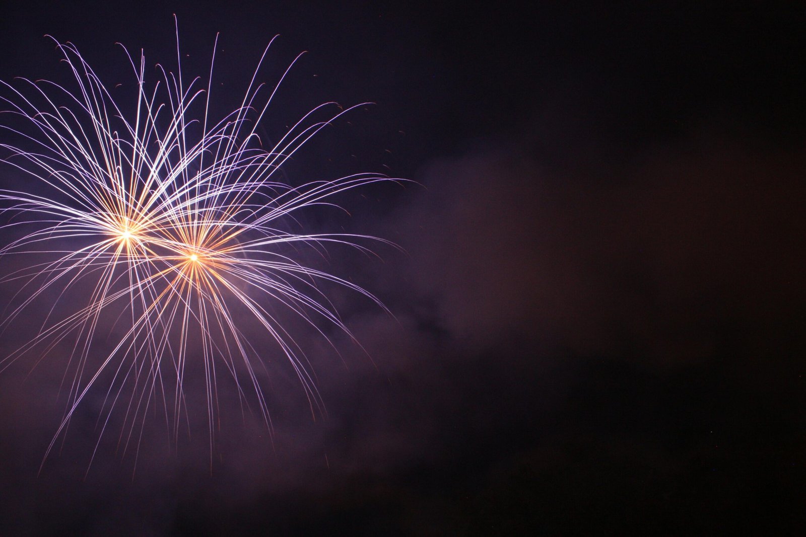 Vibrant purple fireworks illuminate the night sky with golden centers.